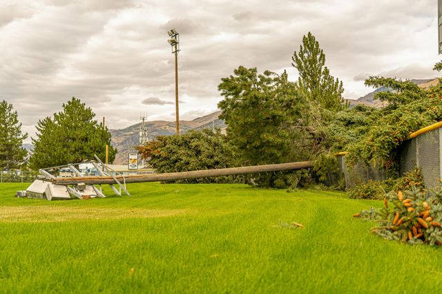 Pruning trees using a liftarm
