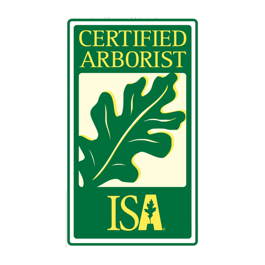 A certified arborist isa logo with an oak leaf